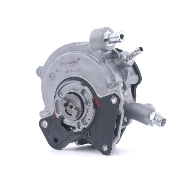 Borsehung B18771 Unterdruckpumpe VW T5