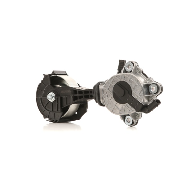 RIDEX 541V0045 DS DS 9 (X83) Moniurahihnan kiristin