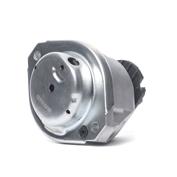 247E0376 RIDEX 22116762608 Motorlager