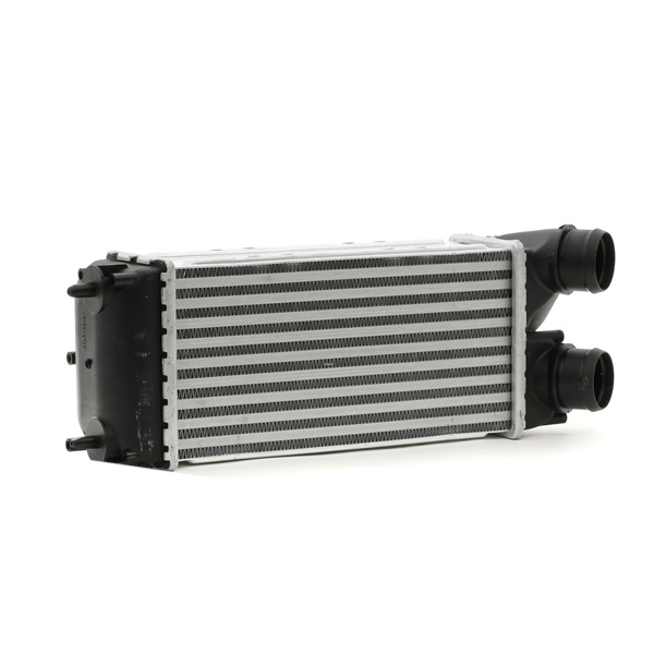 RIDEX 468I0075 Ladeluftkühler (LLK) CITROËN Kosten