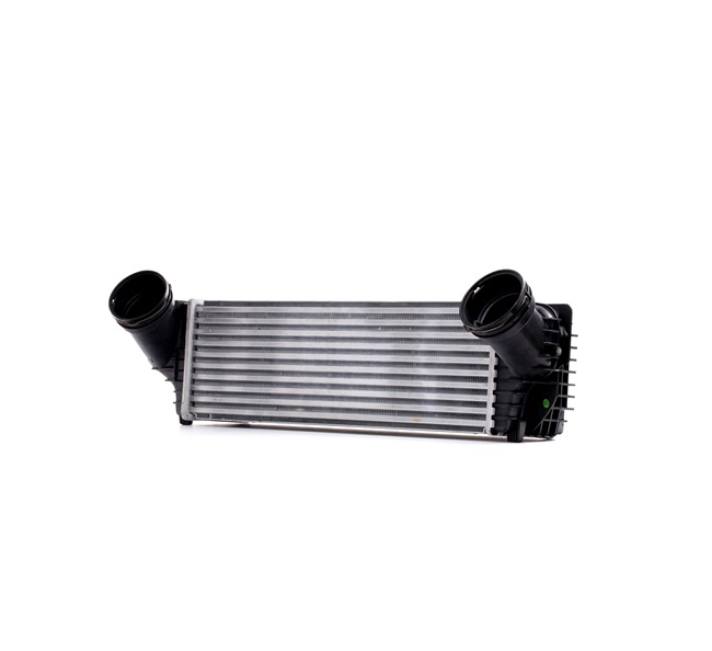 RIDEX 468I0077 Chladič plniaceho vzduchu BMW E70