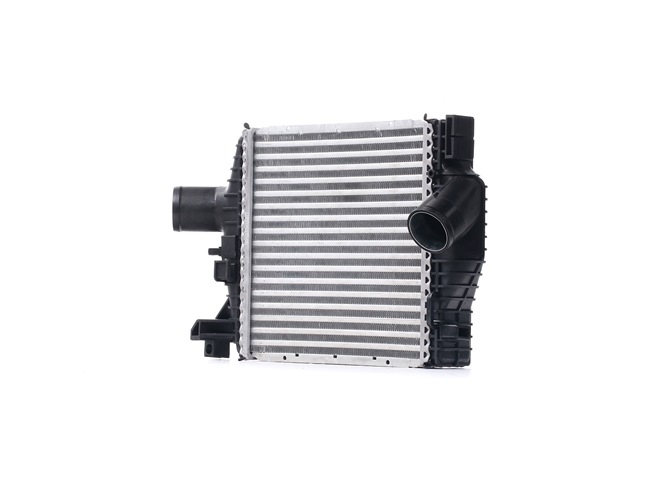 RIDEX 468I0083 intercooler A638 501 29 01