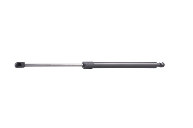 219G0860 RIDEX 8178022200 Heckklappendämpfer