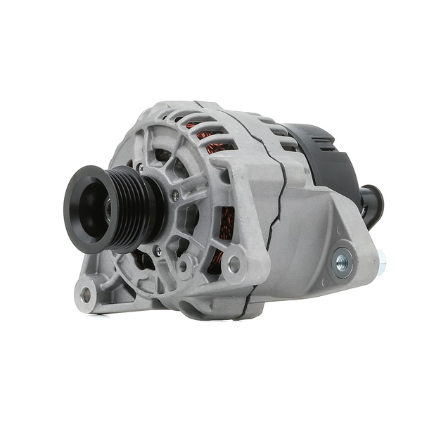 STARK SKGN-0320295 1A-Qualität und faire Preise