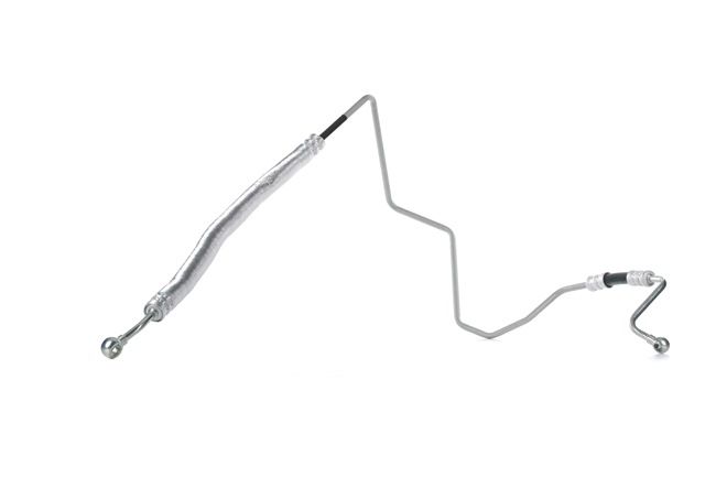 RIDEX 677H0016 stuurbekrachtiging slang 6N1 422 893 F