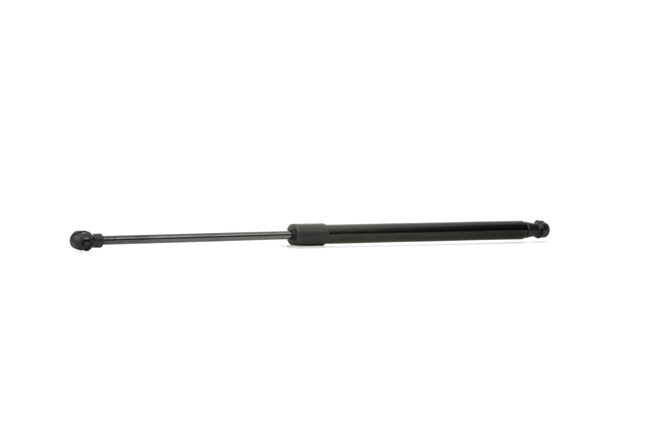 RIDEX 219G0869 gasveer achterklep 689600W431