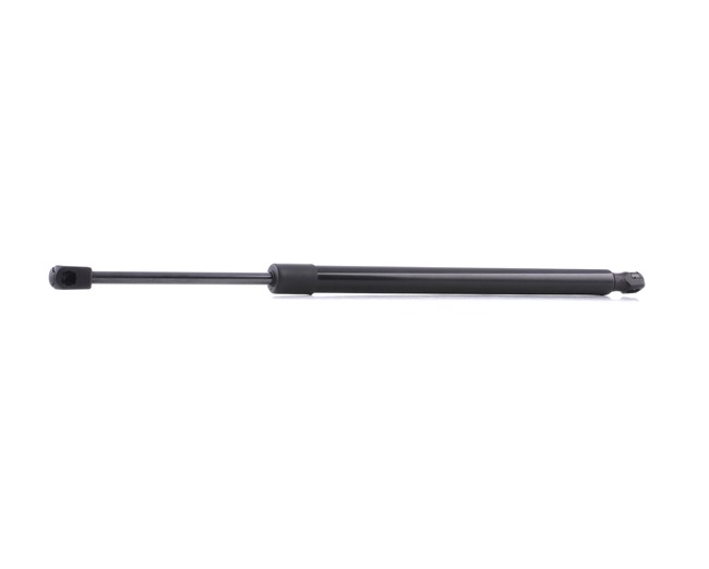 RIDEX 219G0881 gasveer achterklep 6 151 734
