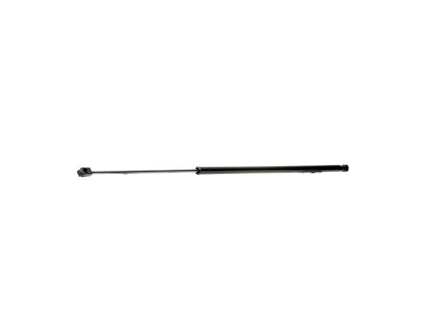 219G0886 RIDEX 96095456 Heckklappendämpfer