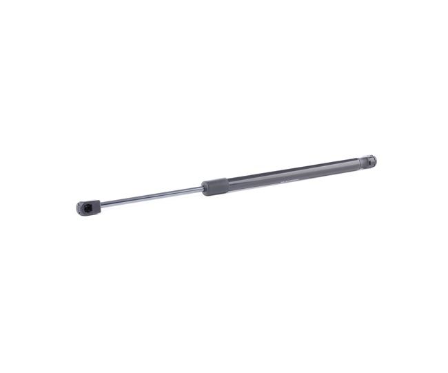 RIDEX 219G0890 Pistoncini portellone Suzuki Swift 3 1.3 (RS 413, ZC11S) 91 CV Benzina 2006