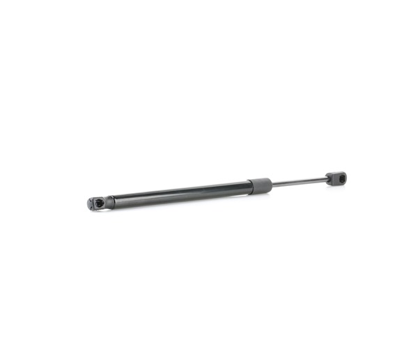 RIDEX 219G0896 gasveer achterklep C2C38869