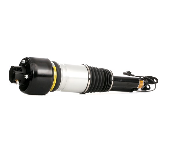 RIDEX 4118A0013 Calidad y precios justos