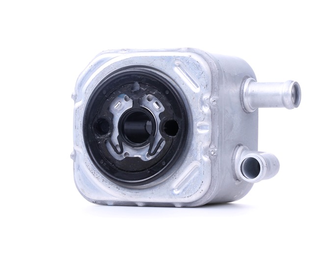 RIDEX 469O0036 Eļļas radiators VW Passat B5.5 Variant 2.5 TDI 4motion 180 ZS Dīzelis 2004