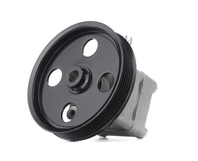 RIDEX 12H0150 Servopumpe VOLVO Kosten
