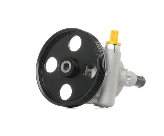 RIDEX 12H0163 stuurbekrachtigingspomp 7700 840 805C