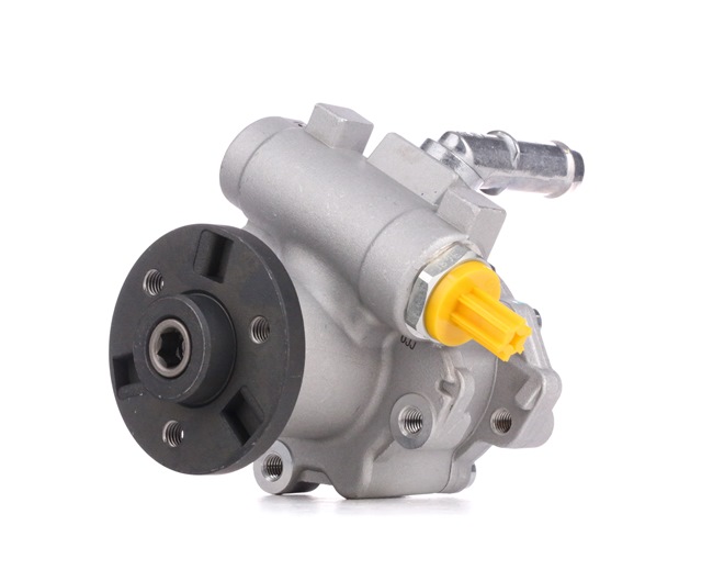 RIDEX 12H0169 Servopumpe BMW Kosten