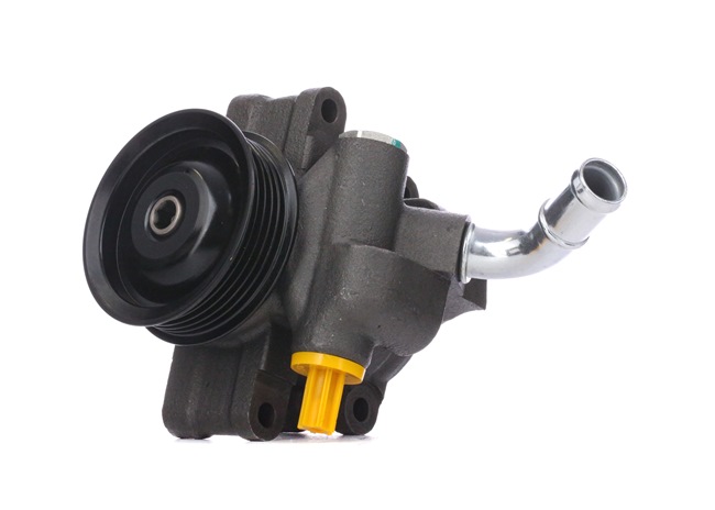 RIDEX 12H0170 Servopumpe FORD Kosten