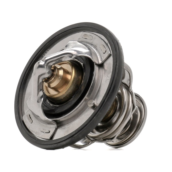 CTM-NS-000 NTY 21200AD201 Thermostat