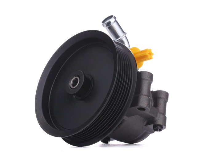 RIDEX 1 569 693 Servopumpe 12H0196