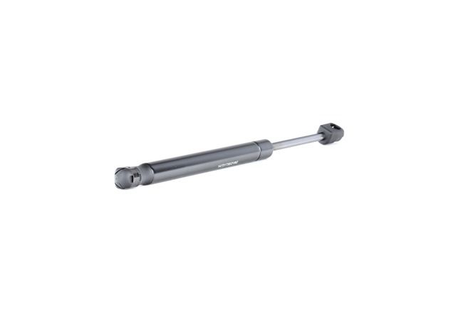 RIDEX 219G0918 gasveer achterklep 84AB L406A10 AA