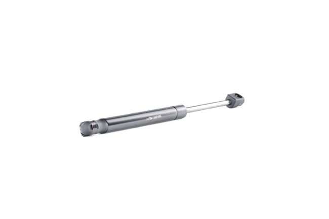 RIDEX 219G0928 gasveer achterklep 81771-2G000