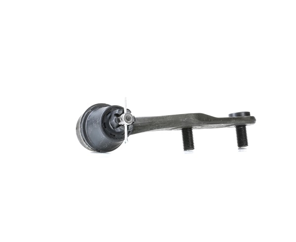RIDEX 2462S0411 fuseekogel 52391SF1003