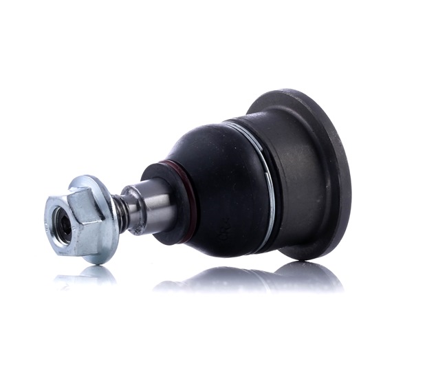 RIDEX 2462S0418 fuseekogel JLM21177
