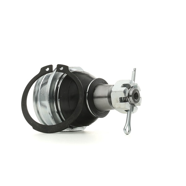 RIDEX 2462S0423 fuseekogel 48069B4010(-)