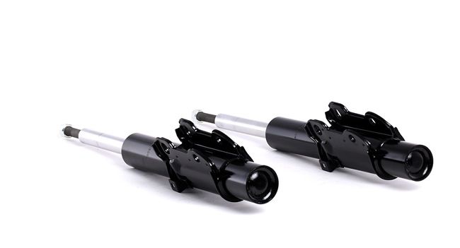 RIDEX 854S2198 Calidad y precios justos