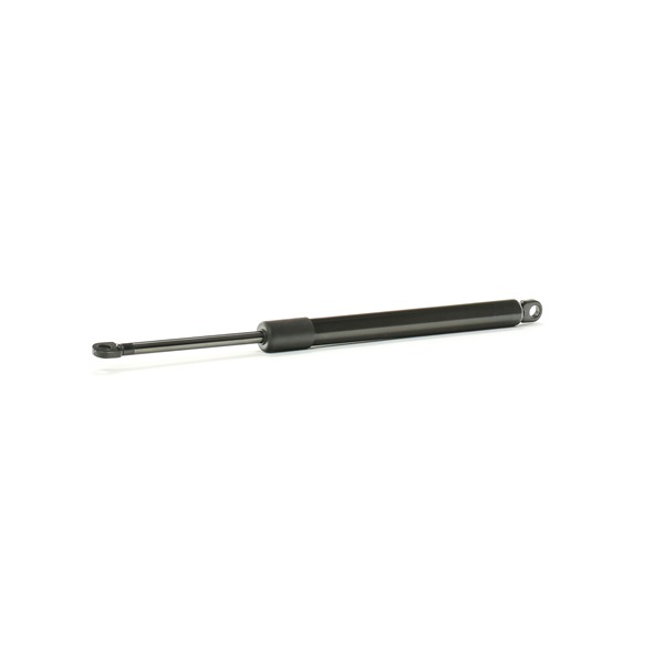 RIDEX 1207G0002 gasveer, dak 155871997A