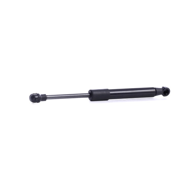 RIDEX 1207G0004 gasveer, dak 46734809