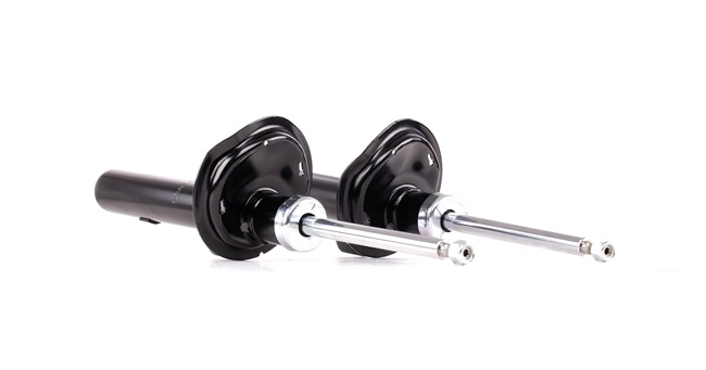 RIDEX 854S2249 schokdemper 5202QP