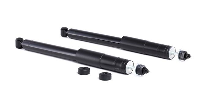 854S2260 RIDEX 1703200131 Stoßdämpfer
