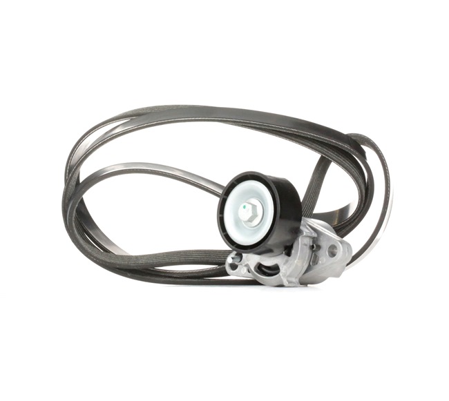 Keilrippenriemensatz von STARK SKRBS-1200055 beste Qualität zum besten Preis