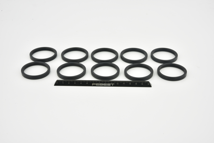 FEBEST RINGWH-017-PCS10 Καπάκι θερμοστάτη Ford Fiesta Mk6 1.4 LPG 92 PS Βενζίνη/αέριο (LPG) 2010