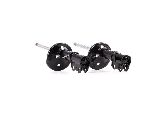 854S2296 RIDEX 4851087693 Stoßdämpfer