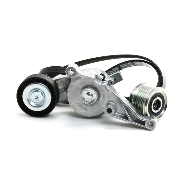 RIDEX 542R0064 kileribberemsett Passat B6 Variant 1.9 TDI 105 hk Diesel 2006