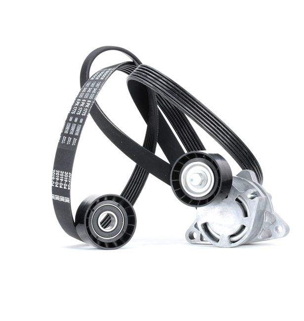 RIDEX 542R0066 poly v-riem set 77 01 473 442