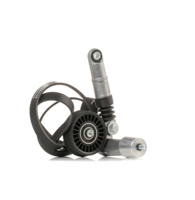 STARK SKRBS-1200068 Kit cinghia servizi Passat 3b5 1.9 TDI 4motion 115 CV Diesel 1999