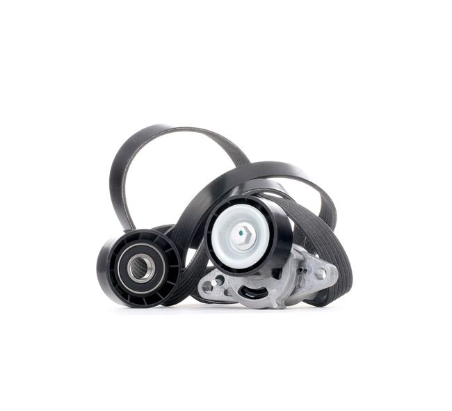 RIDEX 542R0082 Σετ ιμάντων poly-v Renault Scenic 1 2.0 16V (JA1D, JA17) 140 PS Βενζίνη 2003