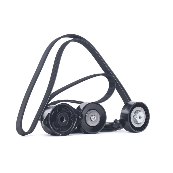 RIDEX 542R0089 Keilrippenriemensatz BMW E53 3.0d 218 PS Diesel 2006