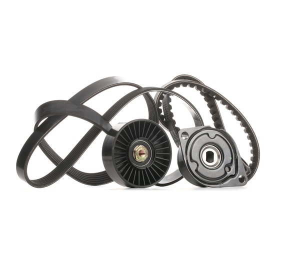 RIDEX 542R0099 Keilrippenriemensatz Passat 3a5 1.9 TDI 110 PS Diesel 1997