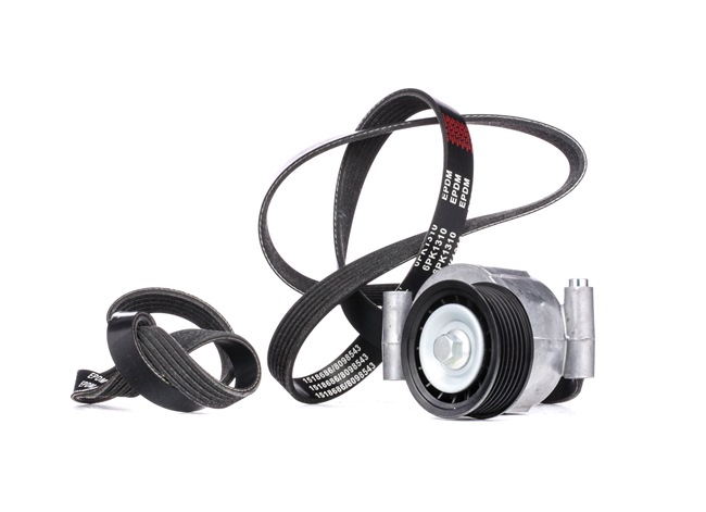 RIDEX LF50 15 980C Kileremsett 542R0112