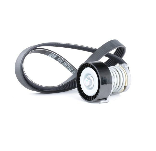 RIDEX 542R0134 Zestaw paska klinowego wielorowkowego VW Golf 5 1.4 16V 80 KM benzyna 2007