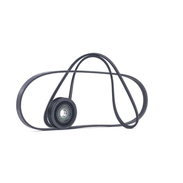 RIDEX 542R0137 Calidad y precios justos