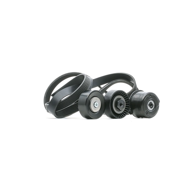RIDEX 542R0144 höchste Qualität