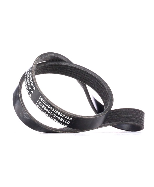 STARK SKPB-0090255 di prima qualità a prezzi equi