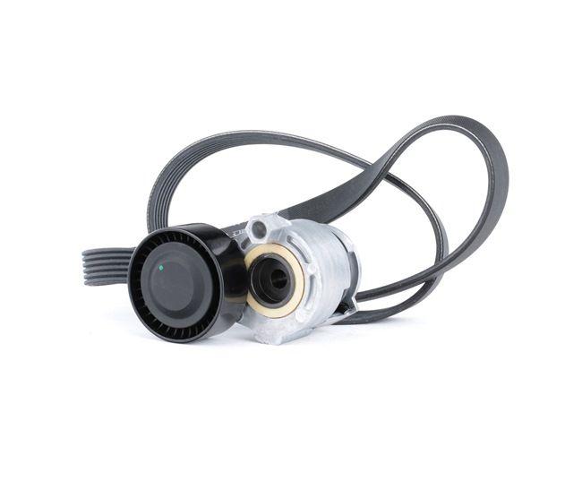 RIDEX 542R0170 Multiriem set RENAULT Megane II Sedan (LM) 1.5 dCi (LM1F) 86 Pk Diesel 2008
