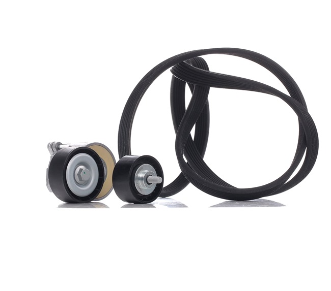 RIDEX 542R0175 Calidad y precios justos