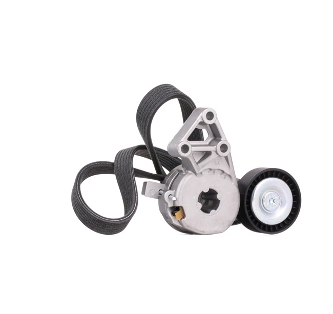 Poly V-riem set van STARK SKRBS-1200177 aan aanvaardbare prijs