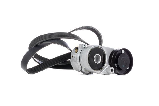 RIDEX 542R0181 Ķīļrievu siksnu komplekts VW Passat B5 Variant 2.8 V6 4motion 190 ZS Benzīns 1999